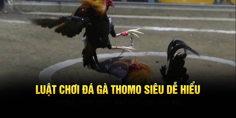 Luật chơi đá gà Thomo siêu dễ hiểu