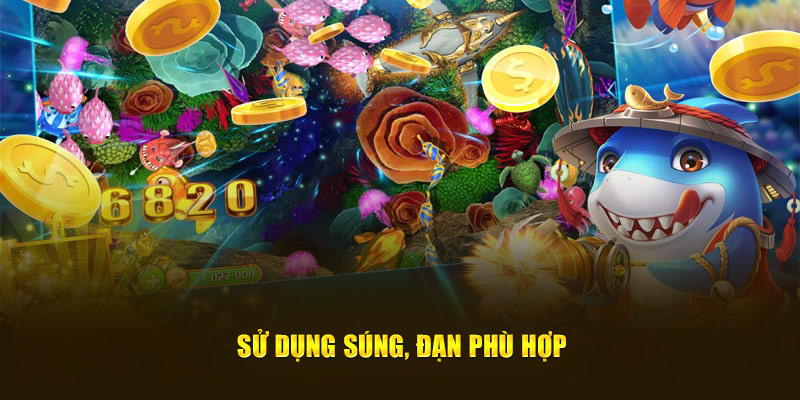 Sử dụng súng, đạn phù hợp
