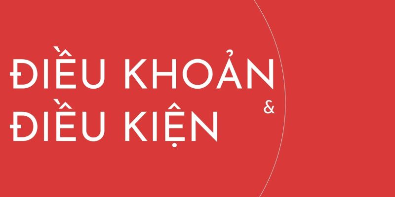 Giới thiệu về điều khoản và điều kiện của hệ thống 8kbet